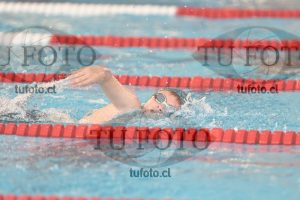 Image 1 libre V 00389