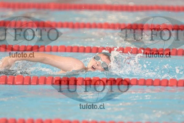 Image 1 libre V 00390