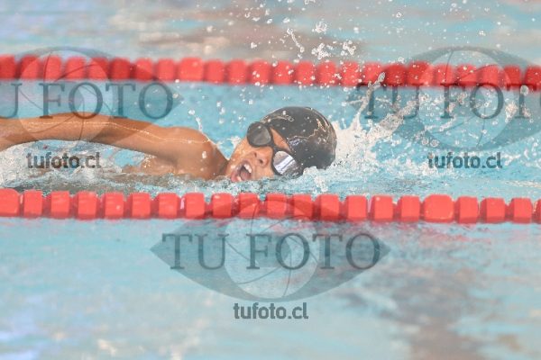 Image 1 libre V 00392