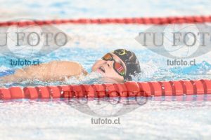 Image 1 libre V 00393