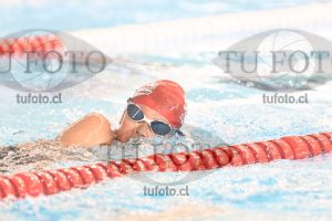 Image 1 libre V 00394