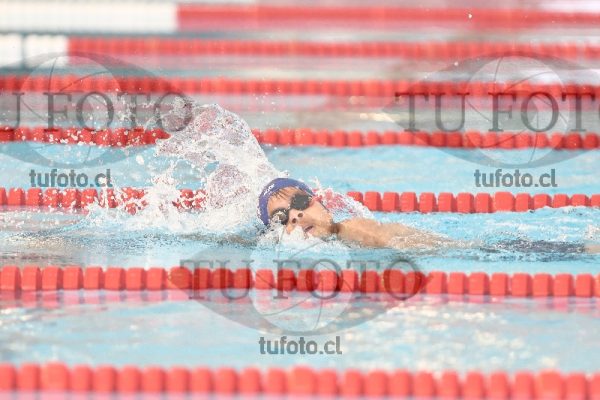 Image 1 libre V 00396
