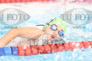 Image 1 libre V 00419