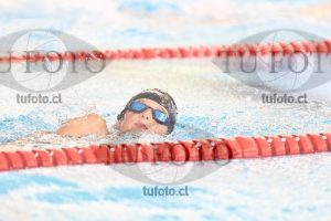 Image 1 libre V 00420