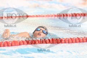 Image 1 libre V 00421