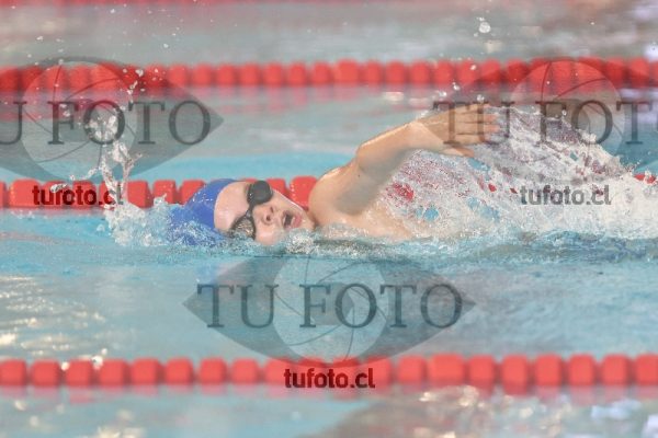 Image 1 libre V 00422
