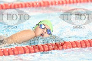 Image 1 libre V 00427