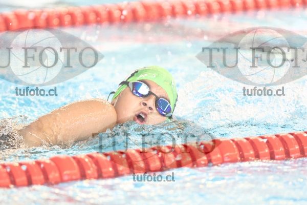 Image 1 libre V 00427
