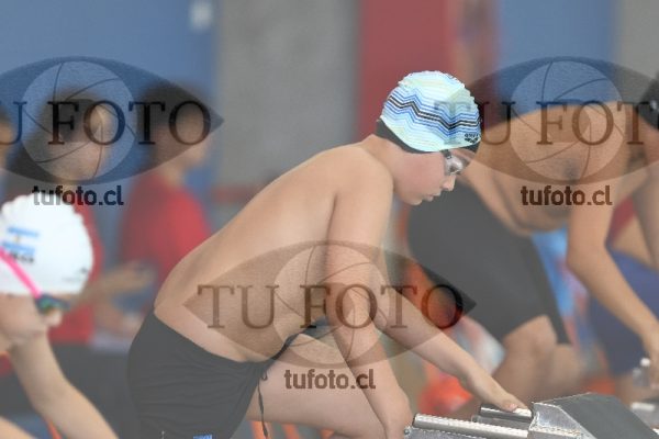 Image 1 libre V 00437