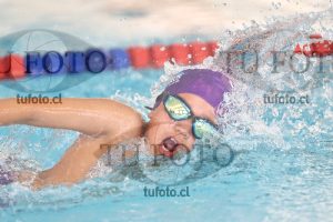 Image 1 libre V 00446