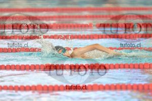 Image 1 libre V 00447