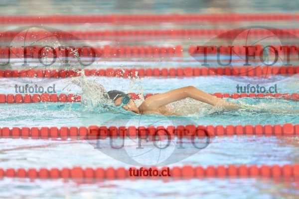 Image 1 libre V 00447