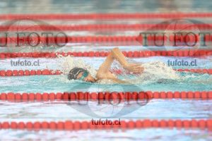 Image 1 libre V 00448