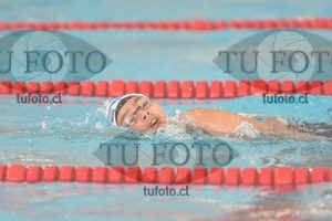Image 1 libre V 00450
