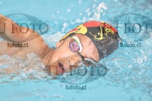 Image 1 libre V 00455