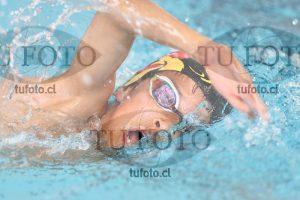 Image 1 libre V 00456