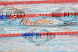 Image 1 libre V 00462