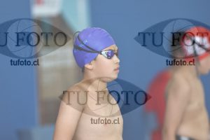 Image 1 libre V 00464