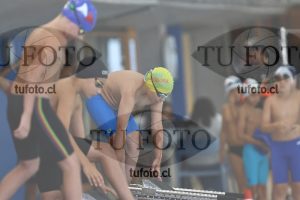 Image 1 libre V 00468