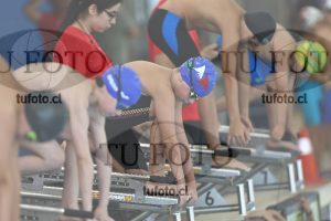 Image 1 libre V 00471