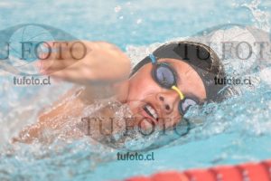 Image 1 libre V 00475