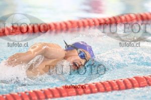 Image 1 libre V 00476