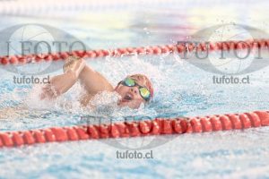 Image 1 libre V 00477