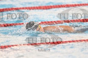 Image 1 libre V 00478