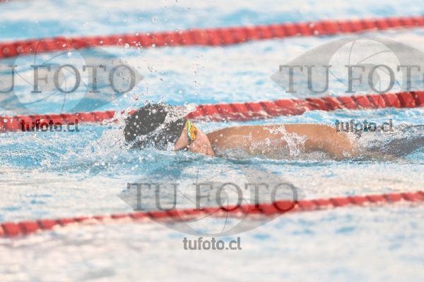 Image 1 libre V 00478