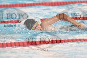 Image 1 libre V 00479