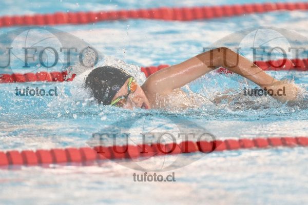 Image 1 libre V 00479