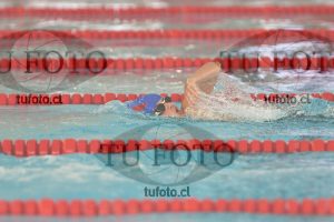 Image 1 libre V 00481