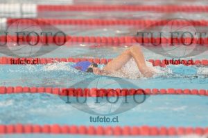 Image 1 libre V 00482