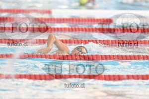 Image 1 libre V 00484