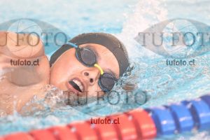 Image 1 libre V 00485