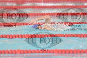 Image 1 libre V 00486