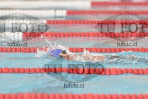 Image 1 libre V 00487