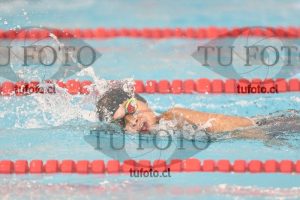 Image 1 libre V 00488