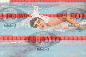 Image 1 libre V 00489