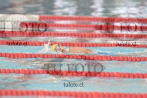 Image 1 libre V 00490