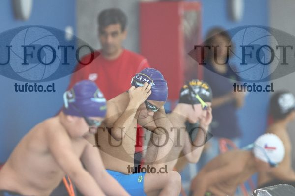 Image 1 libre V 00492