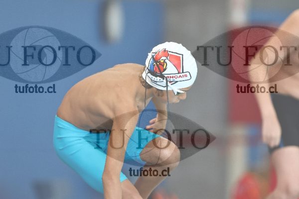 Image 1 libre V 00495