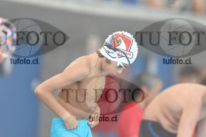 Image 1 libre V 00496