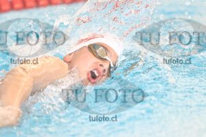 Image 1 libre V 00503