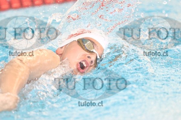Image 1 libre V 00503