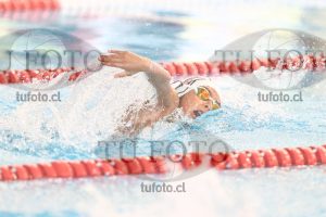 Image 1 libre V 00504