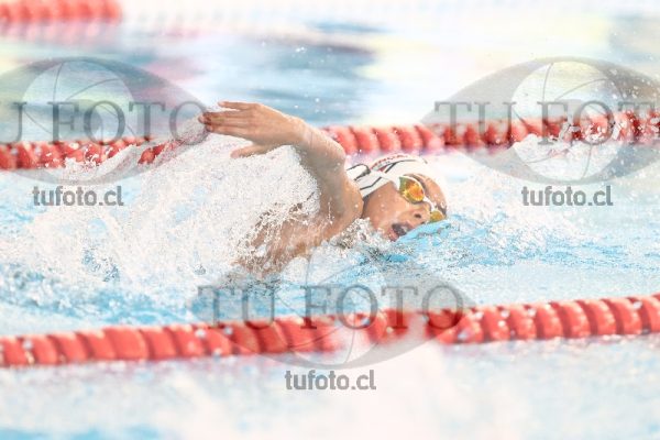 Image 1 libre V 00504