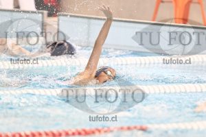 Image 1 libre V 00506