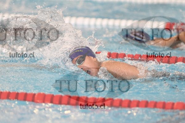 Image 1 libre V 00508