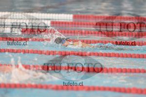 Image 1 libre V 00509